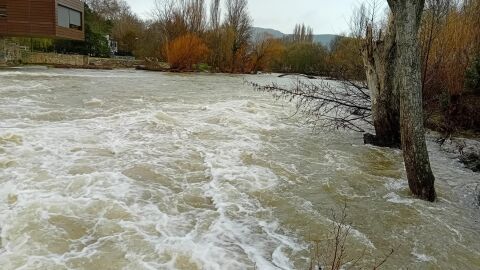 Río Arga a su paso por el Molino de Caparroso