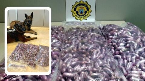 Bellotas de hach&iacute;s interceptadas por la polic&iacute;a canina de Benidorm