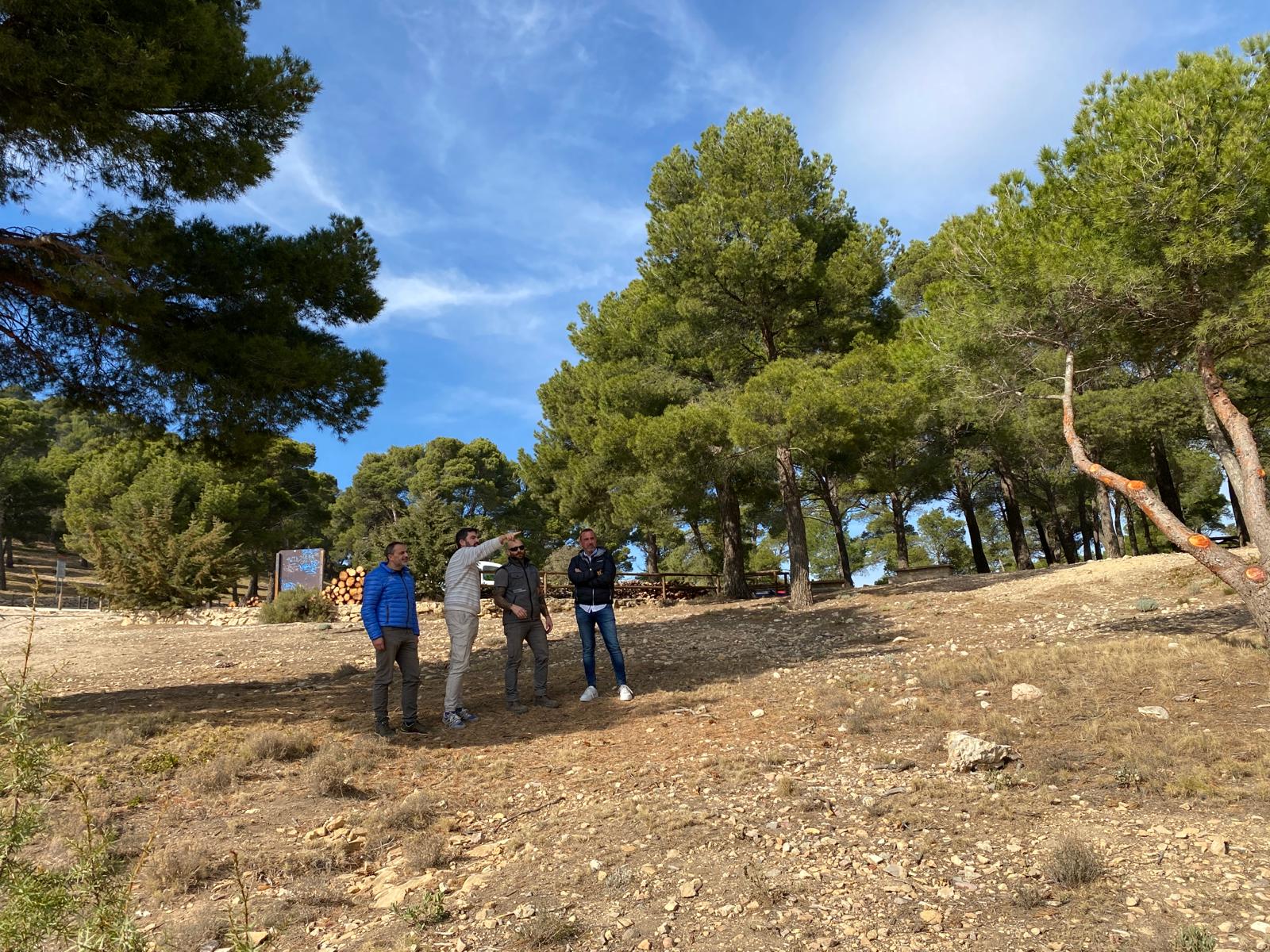 Tibi culmina la apertura de una faja cortafuegos en el Balcón de Alicante Tibi culmina la apertura de una faja cortafuegos en el Balcón de Alicante