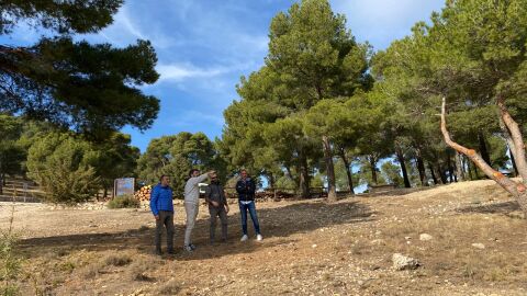 Vista parcial del cortafuegos en el Balc&oacute;n de Alicante