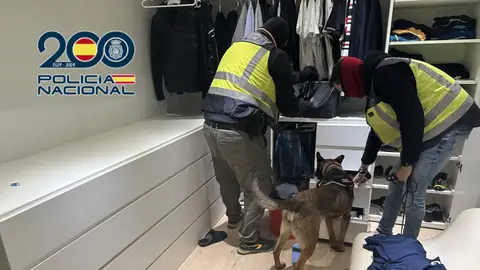 Agentes de la Policía Nacional en uno de los registros practicados durante la operación. Agentes de la Policía Nacional en uno de los registros practicados durante la operación.