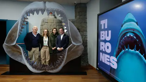 Los tiburones llegan al Bioparc Acuario de Gijón Los tiburones llegan al Bioparc Acuario de Gijón
