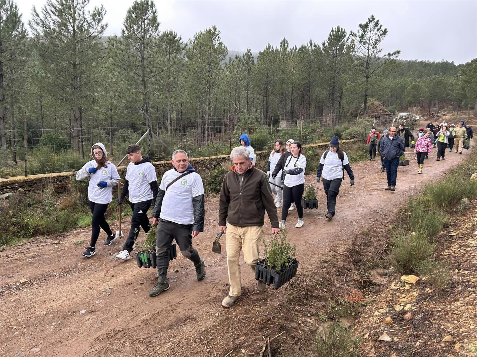 Voluntarios extremeños y portugueses repueblan con unos 850 ejemplares de alcornoques el paraje de Sierra Fría Voluntarios extremeños y portugueses repueblan con unos 850 ejemplares de alcornoques el paraje de Sierra Fría