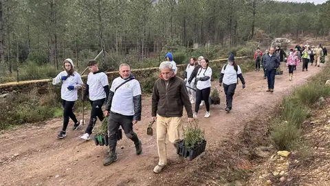 Voluntarios extremeños y portugueses repueblan con unos 850 ejemplares de alcornoques el paraje de Sierra Fría Voluntarios extremeños y portugueses repueblan con unos 850 ejemplares de alcornoques el paraje de Sierra Fría
