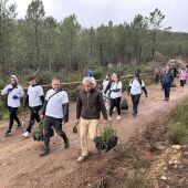 Voluntarios extremeños y portugueses repueblan con unos 850 ejemplares de alcornoques el paraje de Sierra Fría