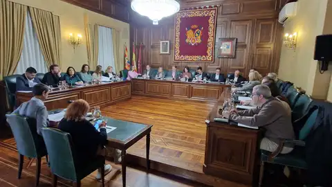 El pleno del ayuntamiento de Teruel ha aprobado esta mañana el reconocimiento de San Fernando como patrón de la Policía Local de Teruel PLENO AYTO TERUEL