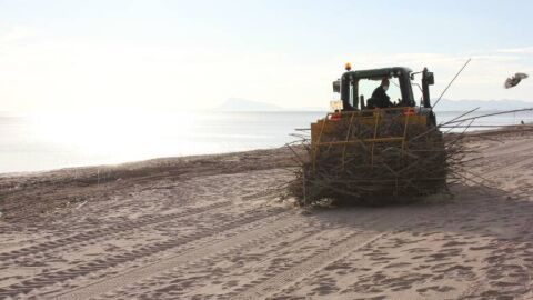 Limpieza playas por parte de la Diputació de València