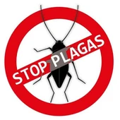 Las plagas, en aumento en Catalunya Las plagas, en aumento en Catalunya