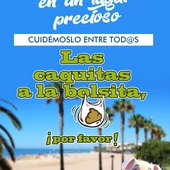 Campaña canina Campaña canina