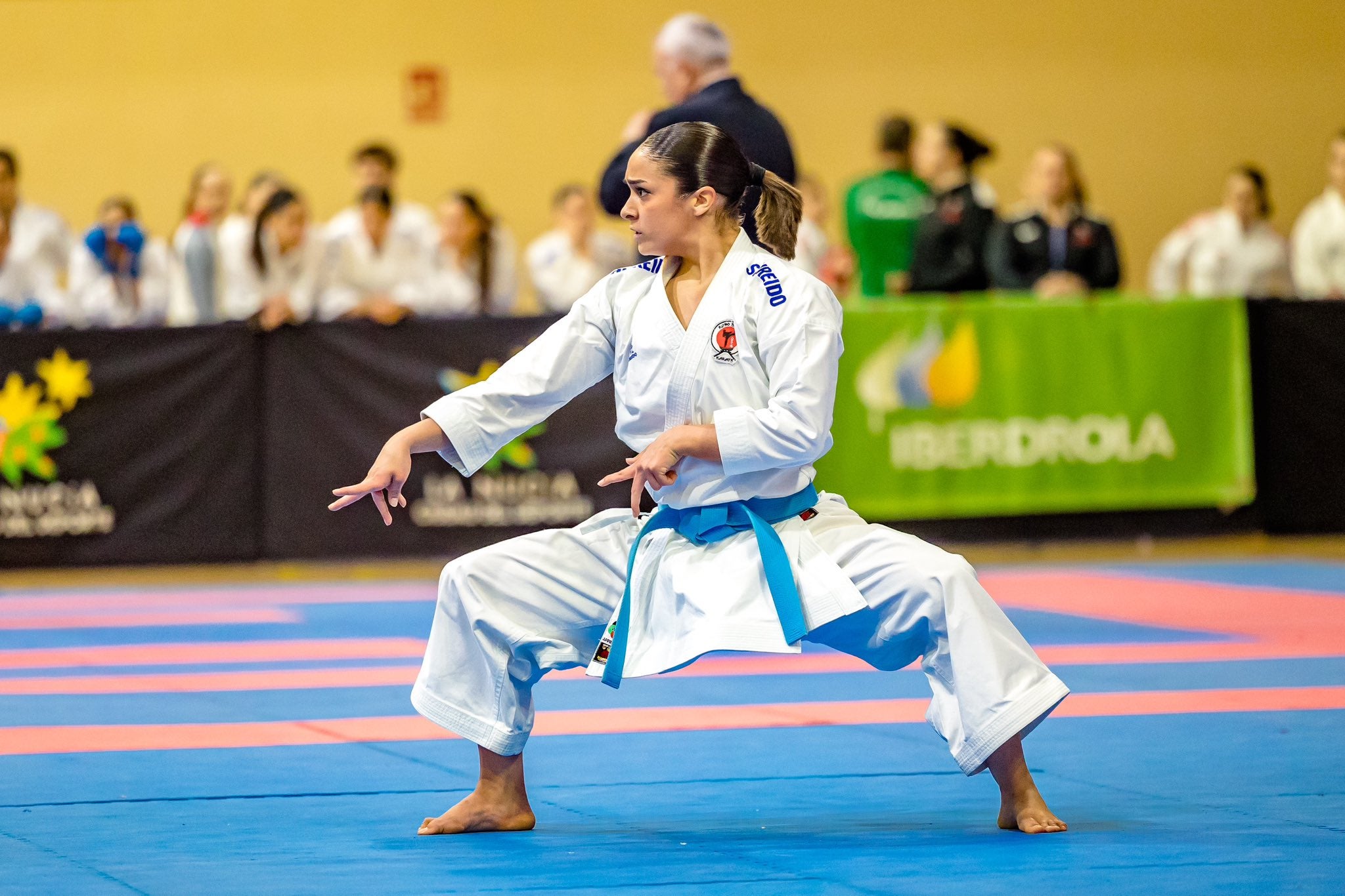 Excelente torneo de la Liga Nacional de Karate en La Nucía Excelente torneo de la Liga Nacional de Karate en La Nucía
