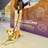 El Centro Comercial Torrecárdenas cumple su primer aniversario como espacio 'Pet Friendly' 