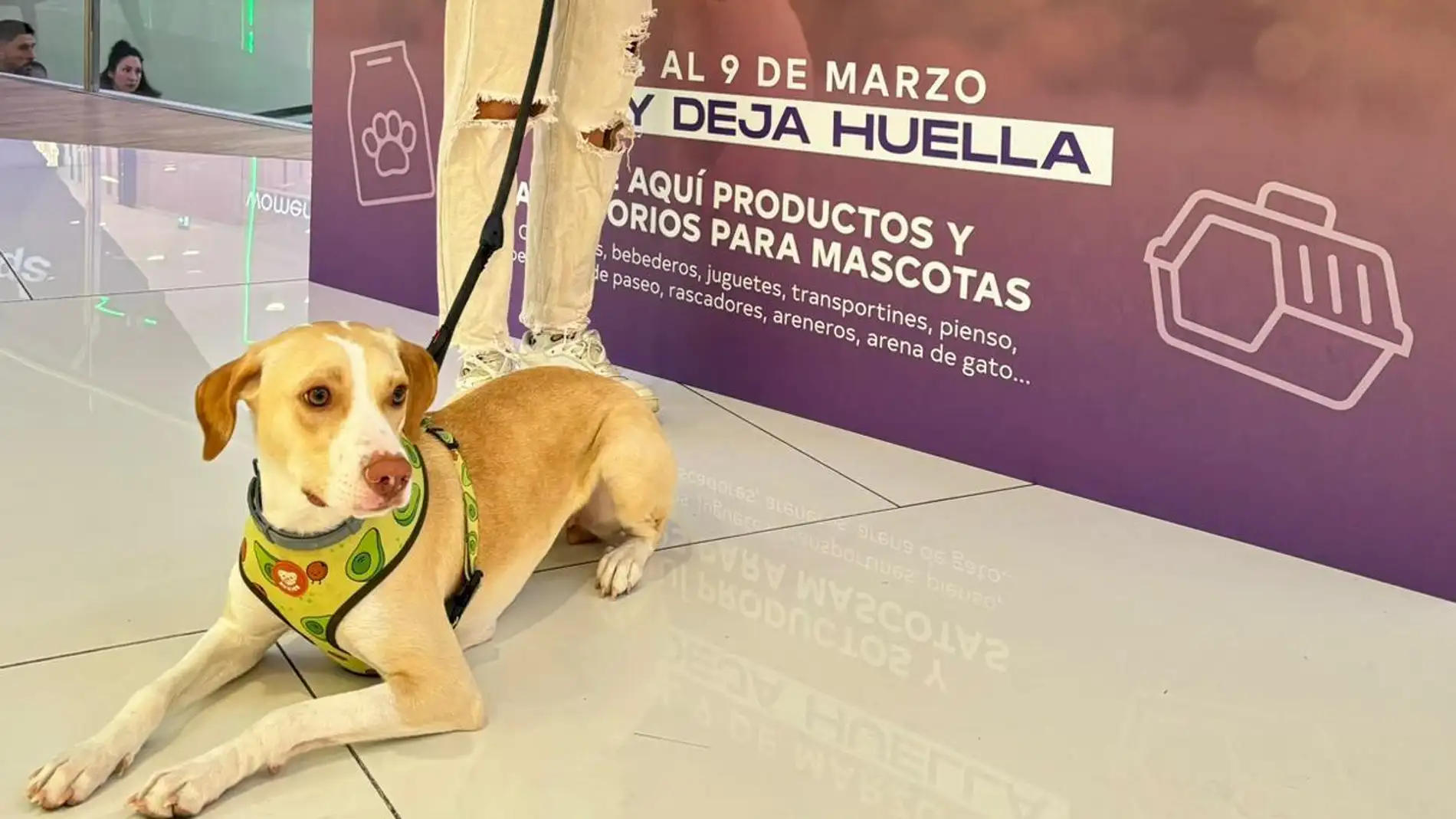 El Centro Comercial Torrecárdenas cumple su primer aniversario como espacio 'Pet Friendly' 