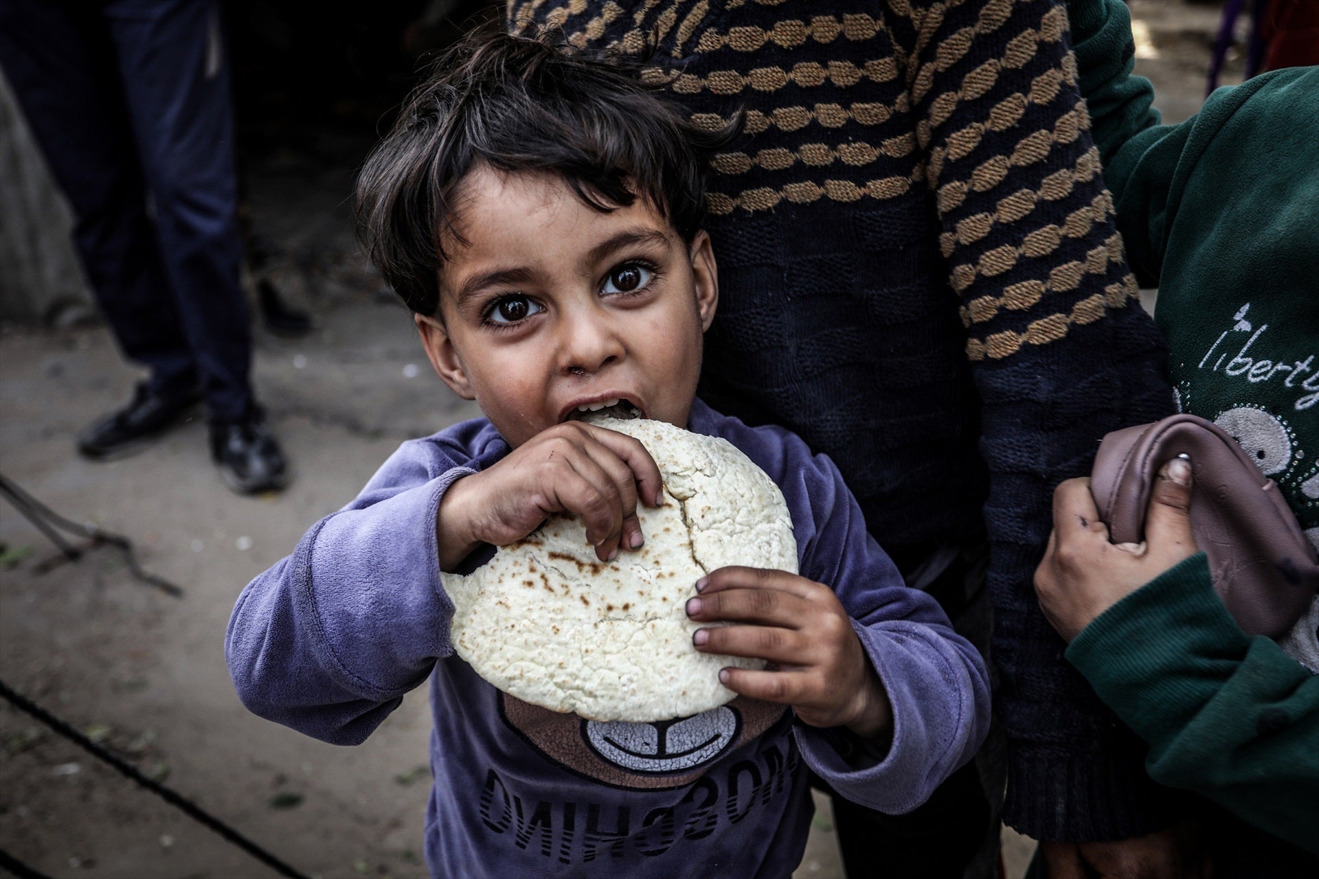 La OMS denuncia una alarmante situación de "hambruna extrema" en el norte de Gaza La OMS denuncia una alarmante situación de "hambruna extrema" en el norte de Gaza