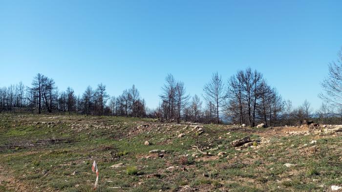 Olba recauda fondos para su proyecto de pastoreo intensivo Olba recauda fondos para su proyecto de pastoreo intensivo