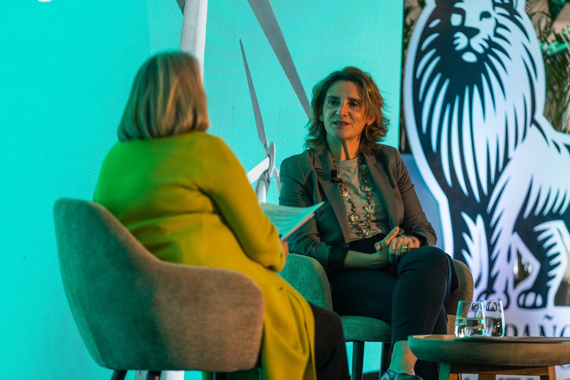 Teresa Ribera asegura que este año se presentará un plan de recuperación para las Tablas de Daimiel Teresa Ribera asegura que este año se presentará un plan de recuperación para las Tablas de Daimiel