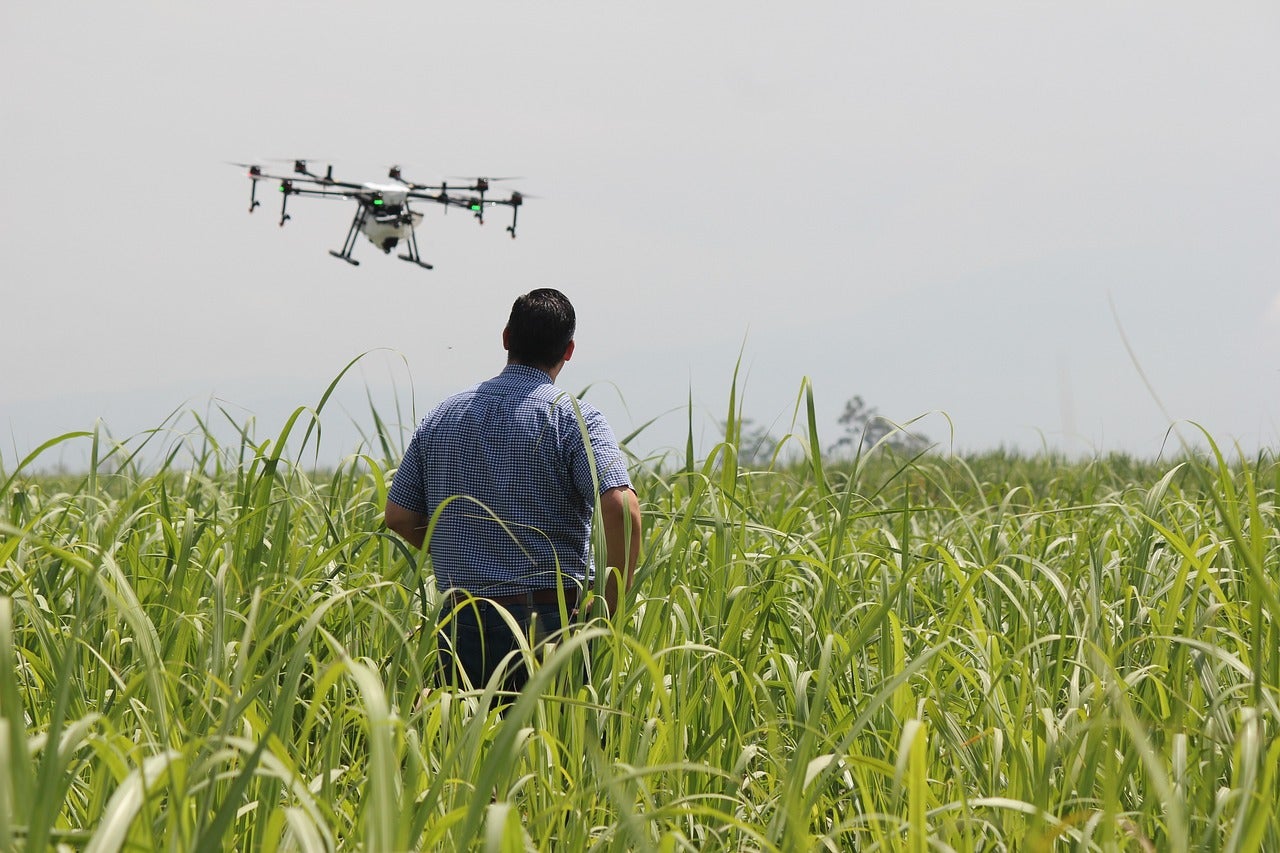Los drones: escuelas de pilotos, licencias y usos pioneros Los drones: escuelas de pilotos, licencias y usos pioneros