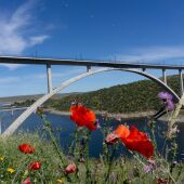 Adif licita por algo más de 11 millones los trabajos para proteger la flora y fauna en al línea de alta velocidad de Extremadura