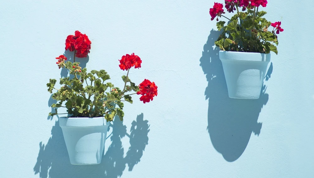 Patios de Córdoba