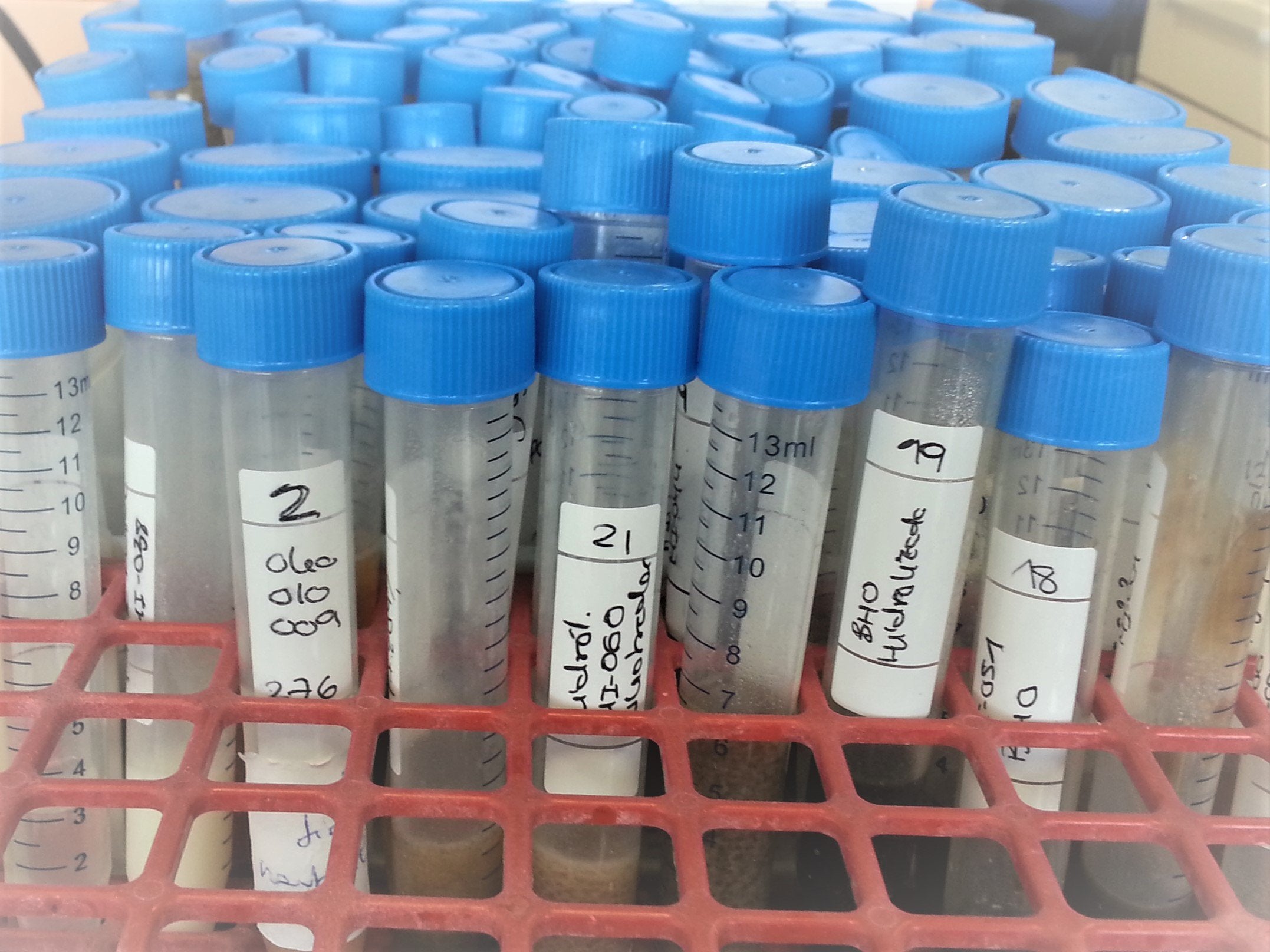 Oleofat, 140 empleados en La Ribera en el sector de los biocarburantes Oleofat, 140 empleados en La Ribera en el sector de los biocarburantes