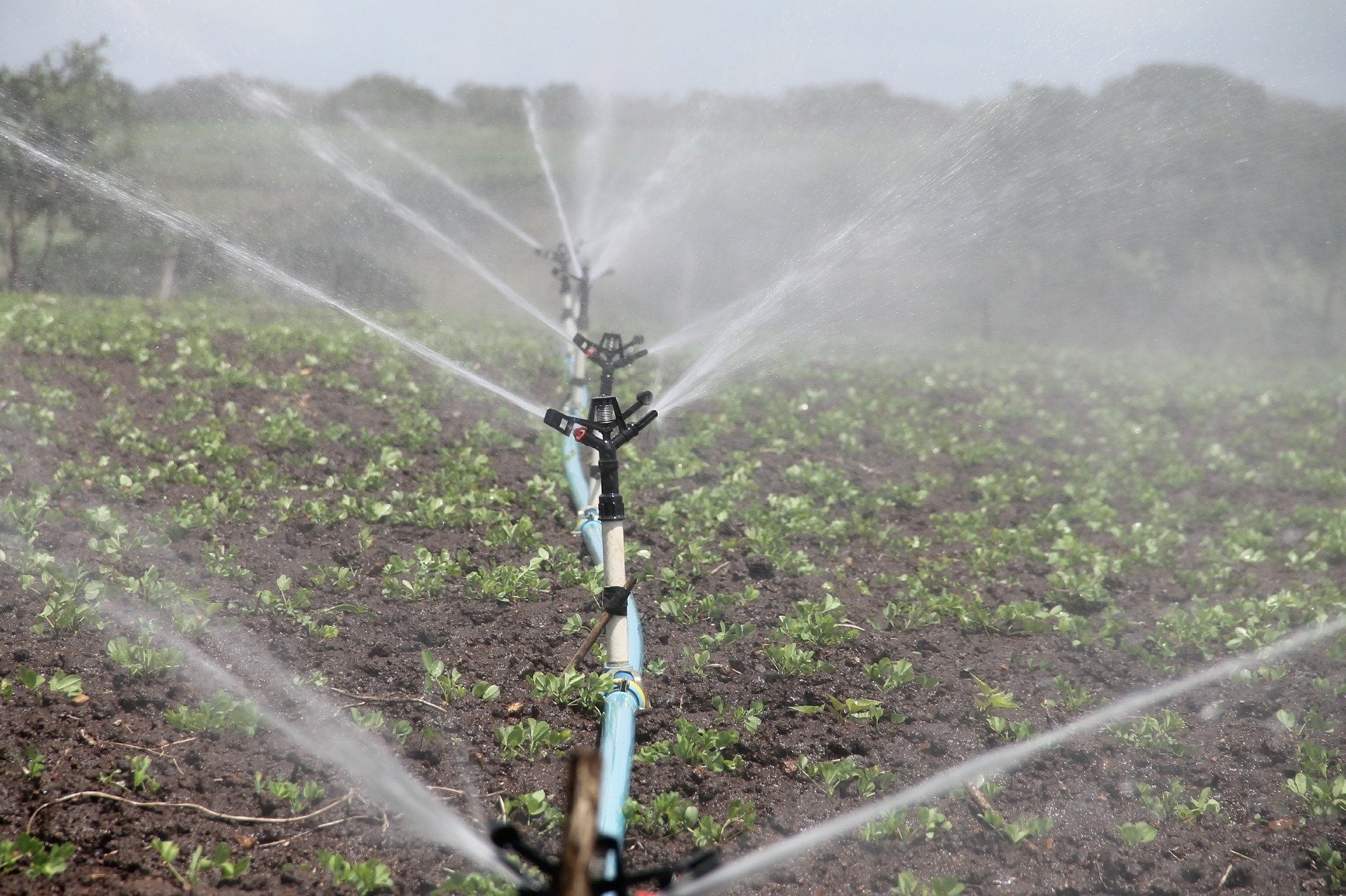 CHG incrementará la dotación de agua para el regadío de Torre de Abraham, Gasset y El Vicario en Ciudad Real CHG incrementará la dotación de agua para el regadío de Torre de Abraham, Gasset y El Vicario en Ciudad Real