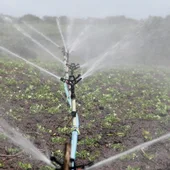 Regadío en una explotación agraria Regadío en una explotación agraria