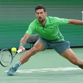 Djokovic, fulminado por el número 123 del mundo Djokovic, fulminado por el número 123 del mundo