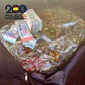 La Policía Nacional detiene en Benidorm a un varón con más de 22 kilogramos de marihuana La Policía Nacional detiene en Benidorm a un varón con más de 22 kilogramos de marihuana