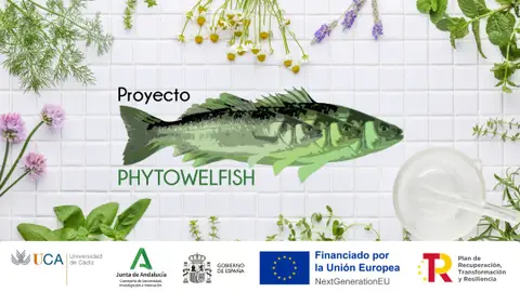 Phytowelfish Phytowelfish