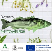 Phytowelfish Phytowelfish
