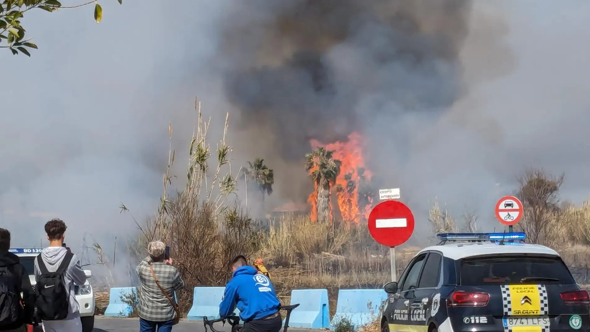 Incendio forestal en el delta del Palancia, Sagunto