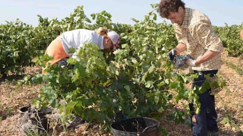 Agricultores trabajando en el campo