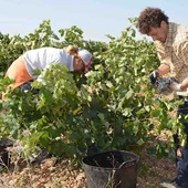 Agricultores trabajando en el campo Agricultores trabajando en el campo