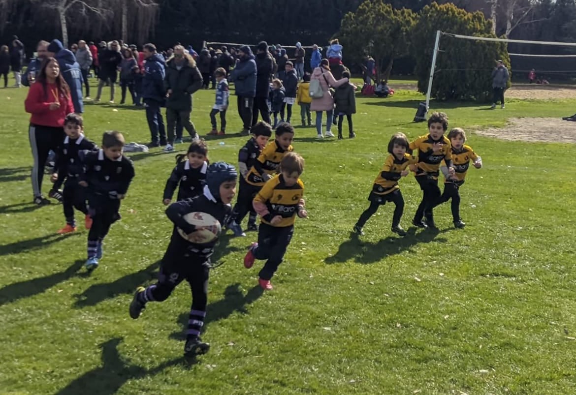 El Consejo Superior de Deportes deniega la subvención al Ayuntamiento de Palencia para la construcción de un campo de rugby El Consejo Superior de Deportes deniega la subvención al Ayuntamiento de Palencia para la construcción de un campo de rugby