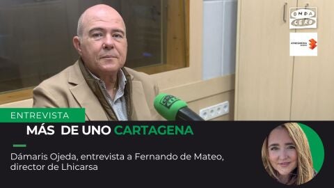 Fernando de Mateo, director de Lhicarsa Fernando de Mateo, director de Lhicarsa