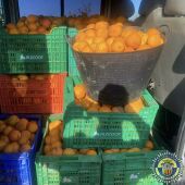 Naranjas incautadas