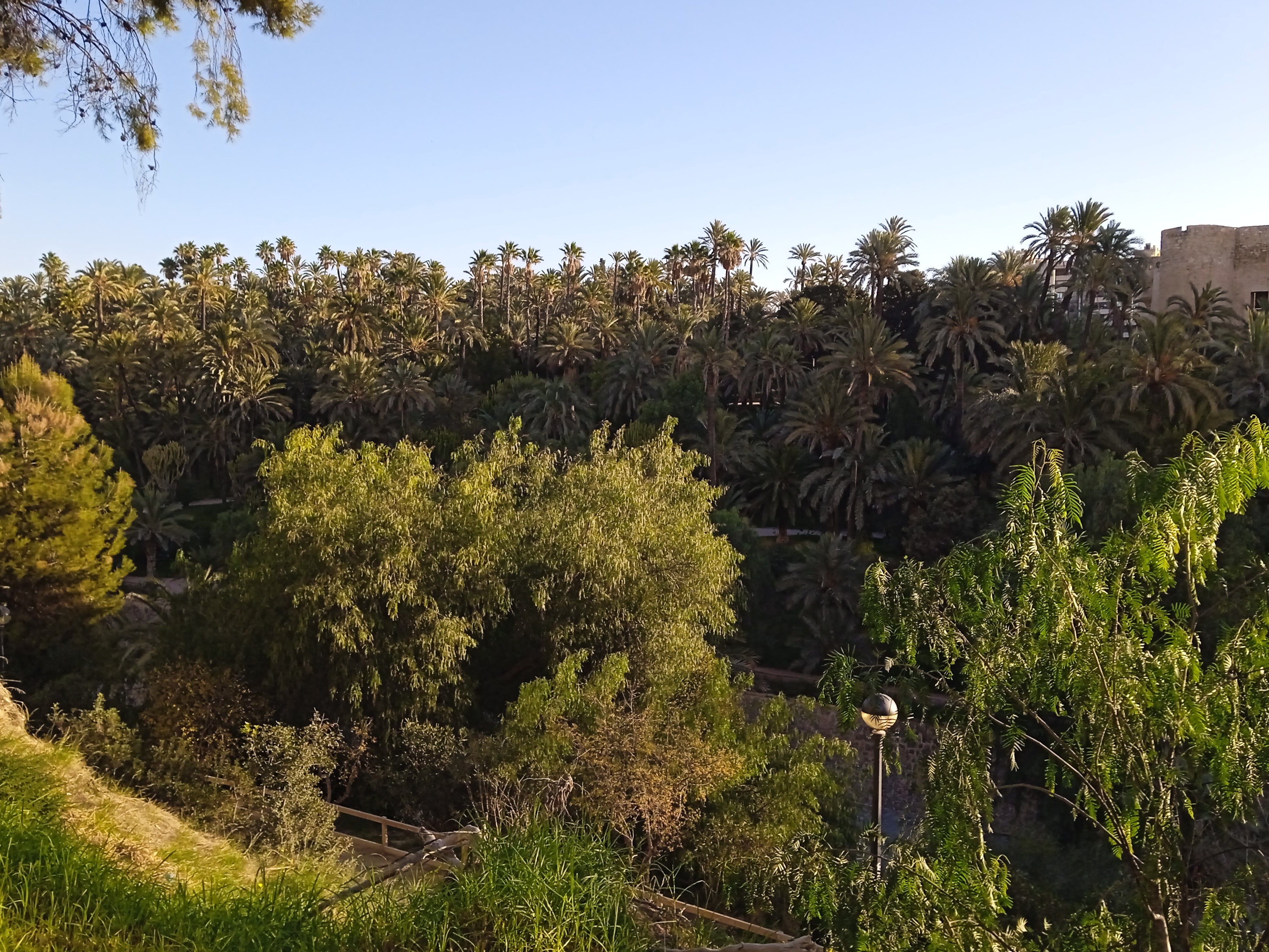 El último fin de semana del invierno llega a Elche, Santa Pola y Crevillent con temperaturas de primavera y sol El último fin de semana del invierno llega a Elche, Santa Pola y Crevillent con temperaturas de primavera y sol