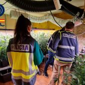 Agentes de la Policía Nacional en una de las plantaciones de marihuana desarticuladas
