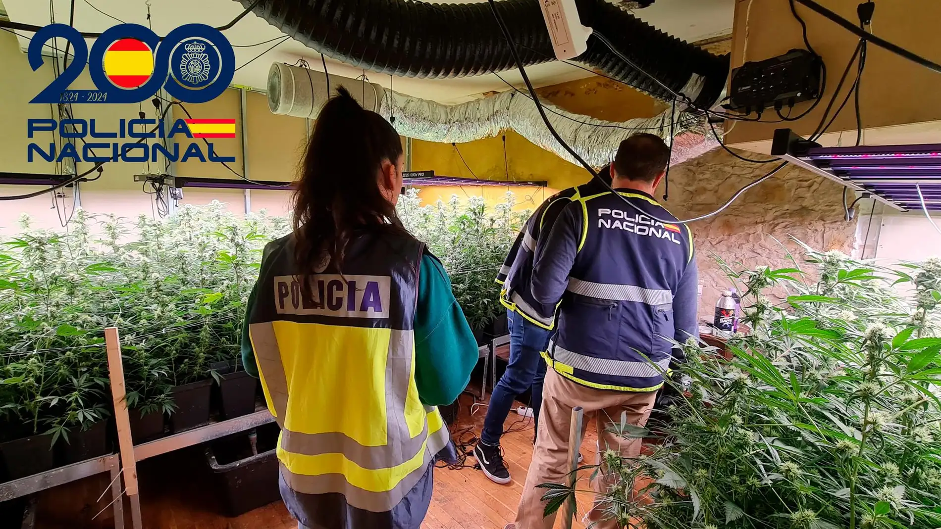 Agentes de la Policía Nacional en una de las plantaciones de marihuana desarticuladas
