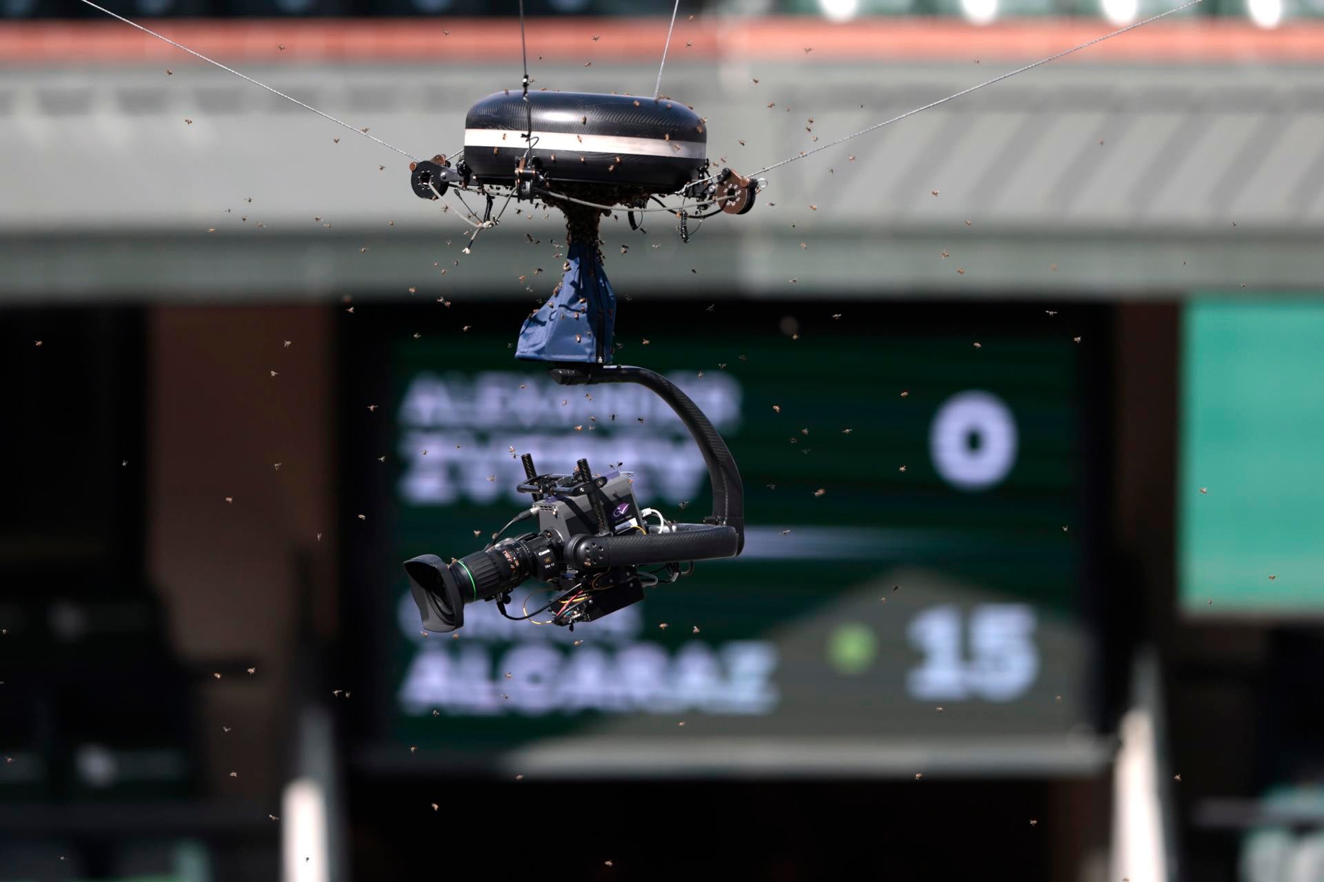 Suspendido el Alcaraz-Zverev por una invasión de abejas en la pista Suspendido el Alcaraz-Zverev por una invasión de abejas en la pista