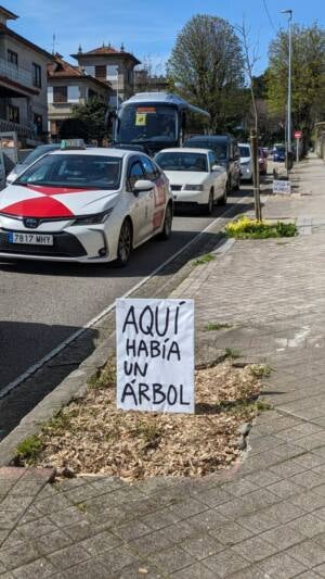 Ecoloxistas en acción exige conocer los criterios técnicos que avalan la tala de árboles en diferentes zonas de Vigo Ecoloxistas en acción exige conocer los criterios técnicos que avalan la tala de árboles en diferentes zonas de Vigo