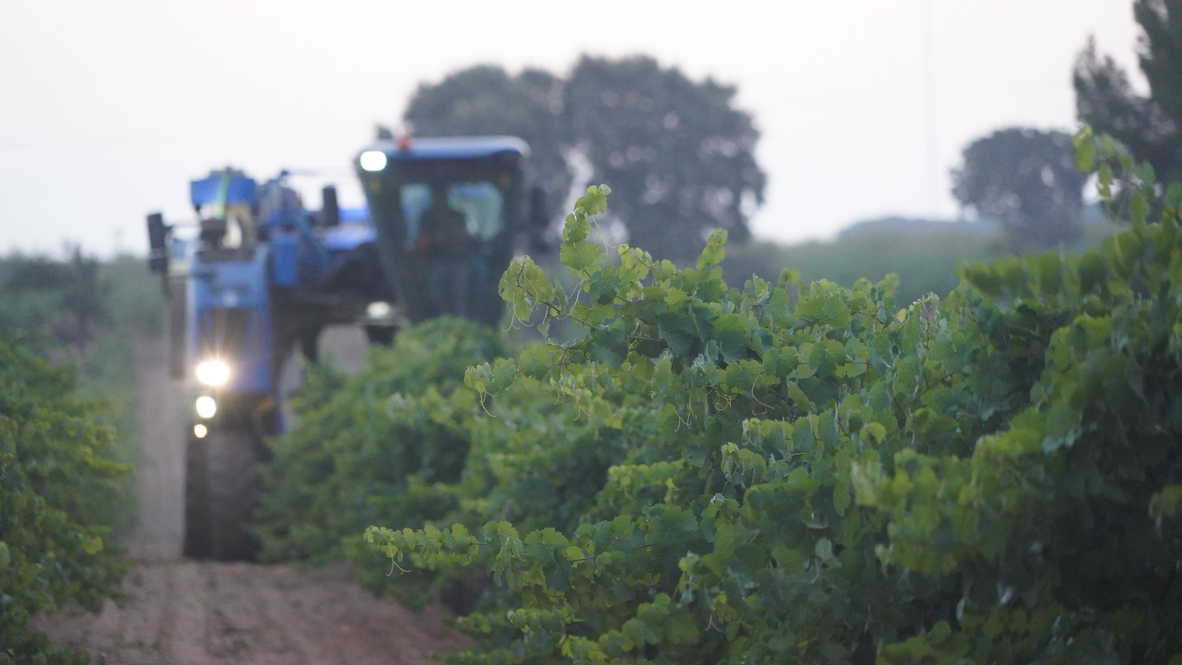 Agricultores de La Solana, Manzanares o Valdepeñas se "apuntan" a la nueva asociación provincial independiente Sector Primario Manchego Agricultores de La Solana, Manzanares o Valdepeñas se "apuntan" a la nueva asociación provincial independiente Sector Primario Manchego