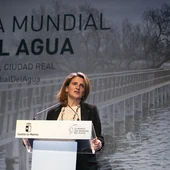 Teresa Ribera durante el acto celebrado en Daimiel Teresa Ribera durante el acto celebrado en Daimiel