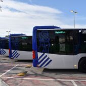 Autobuses de La Alcoyana