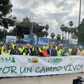 Los representantes de las principales organizaciones agrarias bloquean la entrada al Puerto de Sevilla