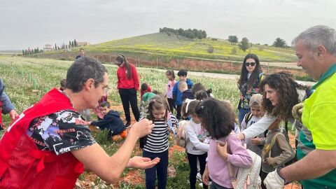 Plantaci&oacute;n de &aacute;rboles en el Cerro 'San Blas' de Valdepe&ntilde;as