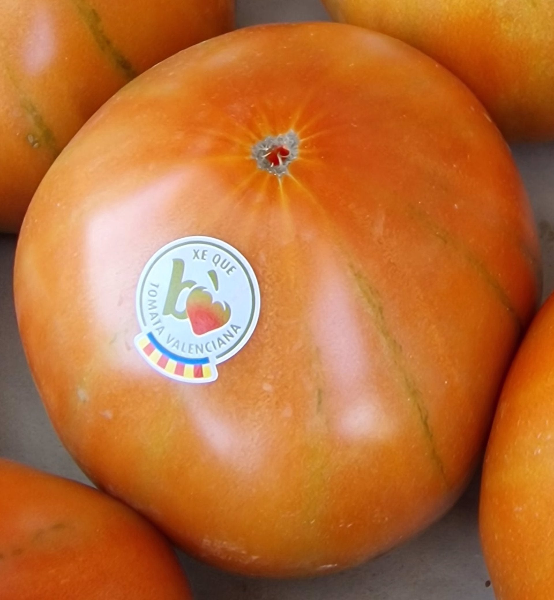 La 'Tomata Valenciana' consigue la marca de Calidad CV La 'Tomata Valenciana' consigue la marca de Calidad CV