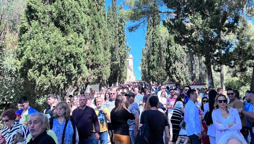 Domingo de Ramos Alberic
