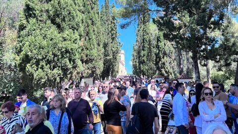 Domingo de Ramos Alberic