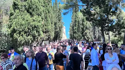Domingo de Ramos Alberic Domingo de Ramos Alberic
