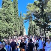 Domingo de Ramos Alberic